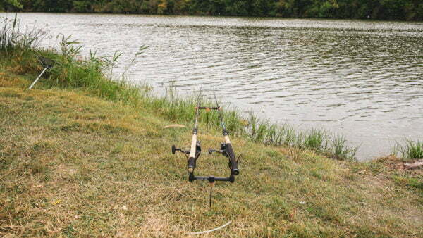 Tutism pescăresc - Balta Milotina