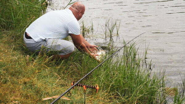 Tutism pescăresc - Balta Milotina