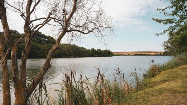 Tutism pescăresc - Balta Milotina