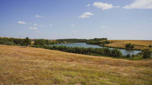 Tutism pescăresc - Balta Milotina