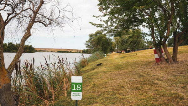 Tutism pescăresc - Balta Milotina