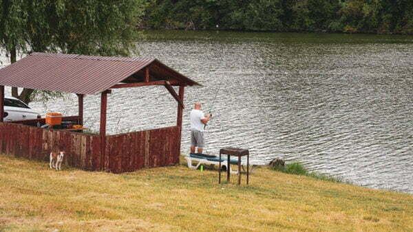 Tutism pescăresc - Balta Milotina