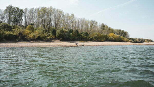 Turism pescăresc - brațele sălbatice ale dunării