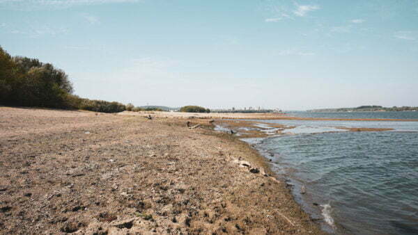 Turism pescăresc - brațele sălbatice ale dunării
