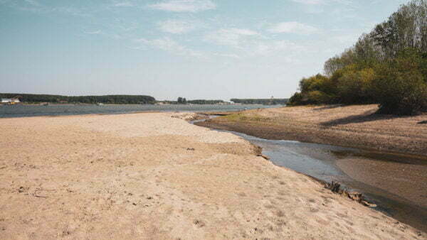 Turism pescăresc - brațele sălbatice ale dunării