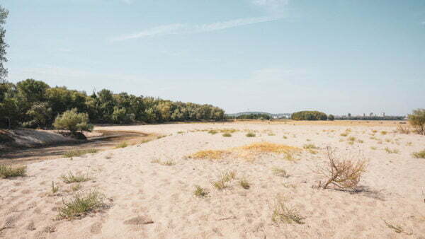 Turism pescăresc - brațele sălbatice ale dunării