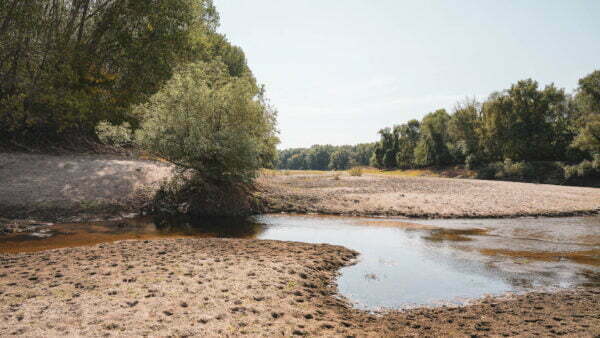 Turism pescăresc - brațele sălbatice ale dunării