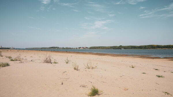 Turism pescăresc - brațele sălbatice ale dunării