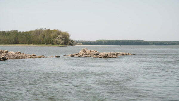 Turism pescăresc - brațele sălbatice ale dunării