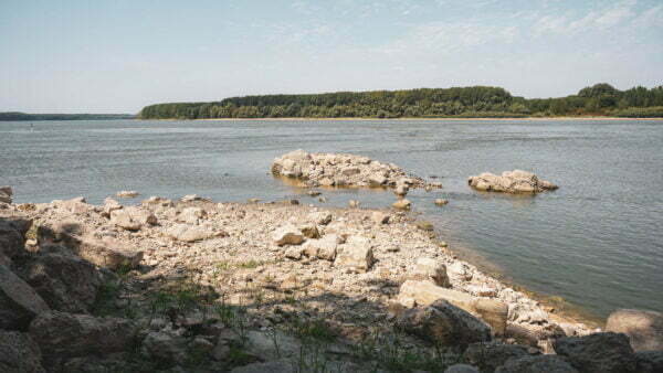 Turism pescăresc - brațele sălbatice ale dunării
