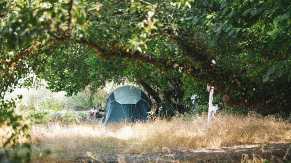 Turism pescăresc - brațele sălbatice ale dunării