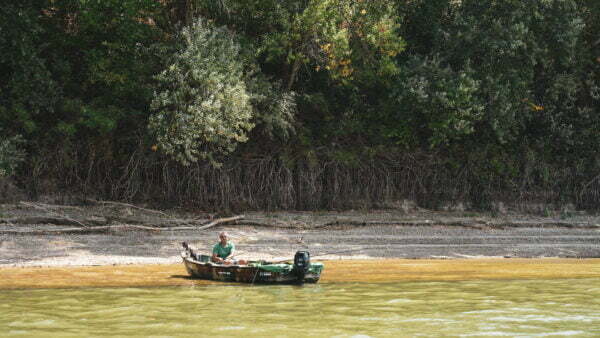 Turism pescăresc - brațele sălbatice ale dunării
