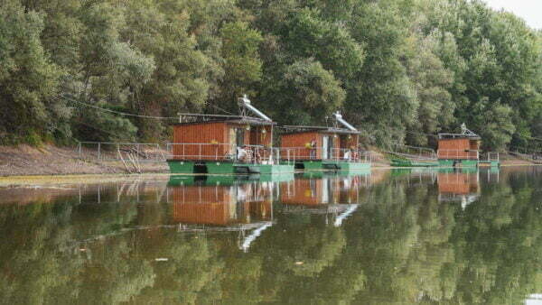 Turism pescăresc - Iani's Lake Braniștea