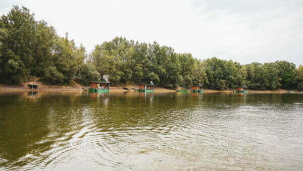 Turism pescăresc - Iani's Lake Braniștea