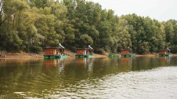 Turism pescăresc - Iani's Lake Braniștea