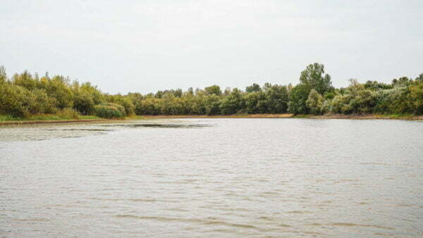 Turism pescăresc - Iani's Lake Braniștea