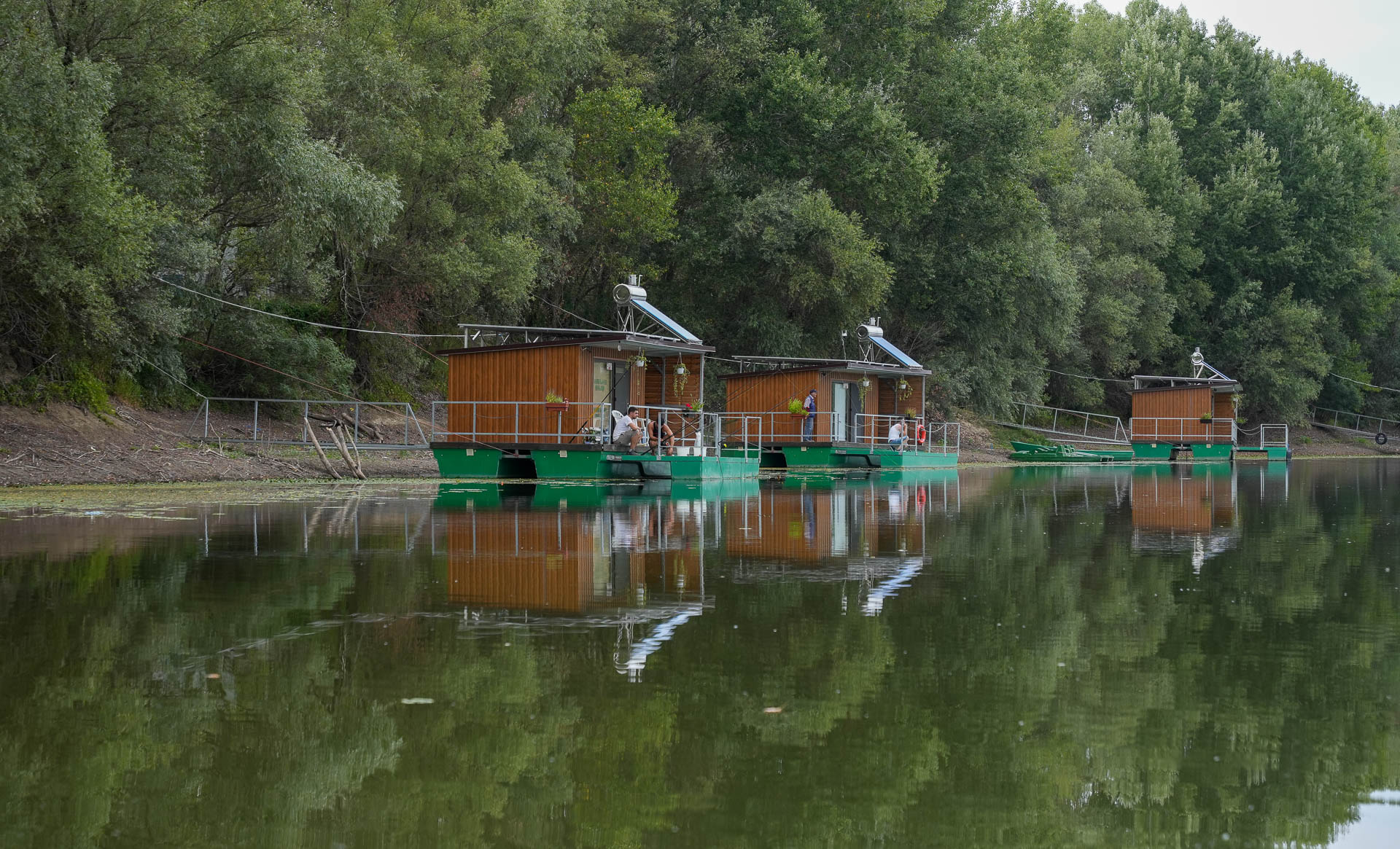 Ianis Lake - Braniștea