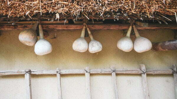 Turism pescăresc - Vatra cu dor