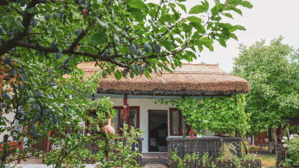 Turism pescăresc - Vatra cu dor