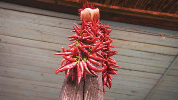 Turism pescăresc - Vatra cu dor