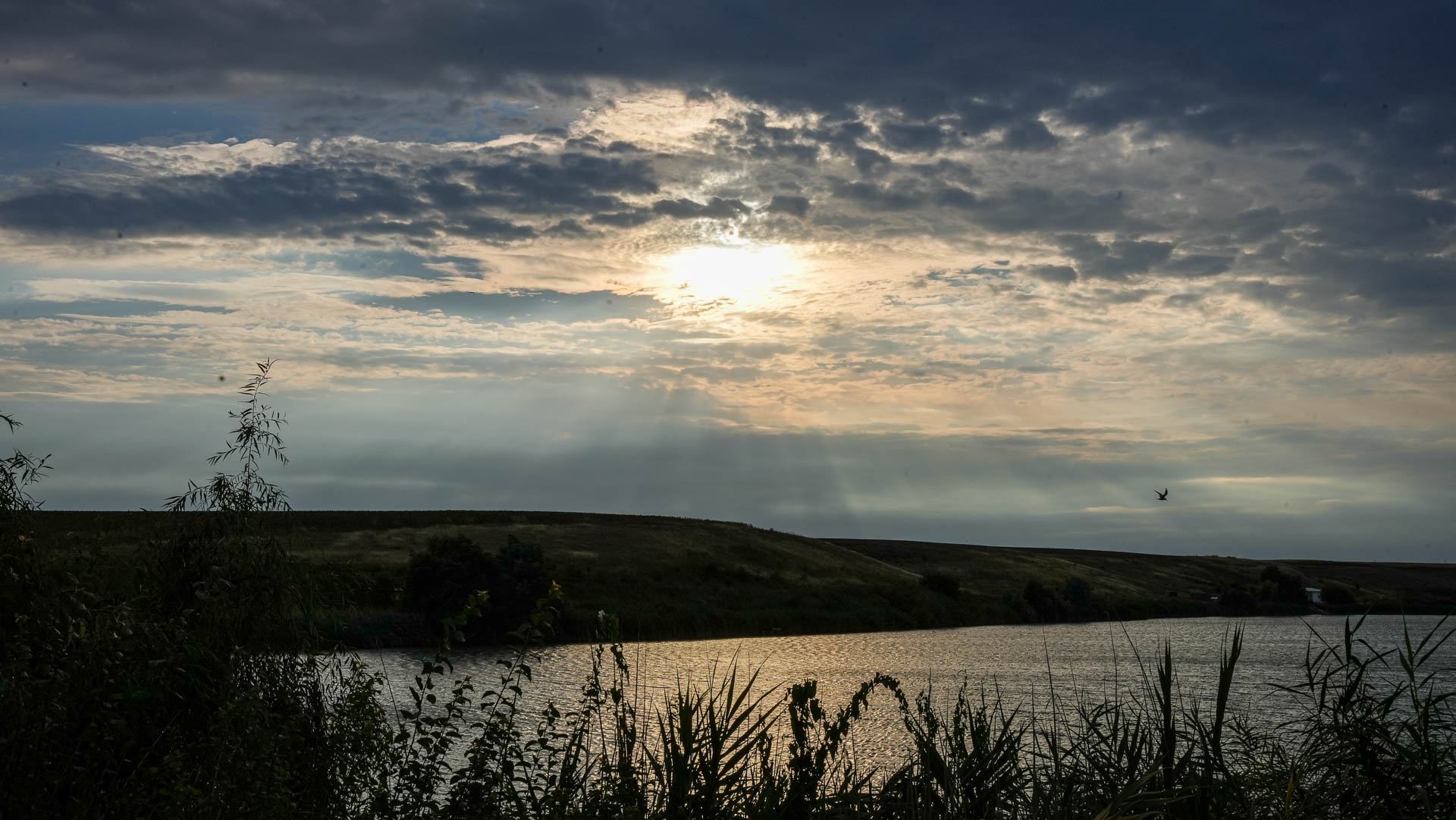 Turism pescăresc - Balta Benga